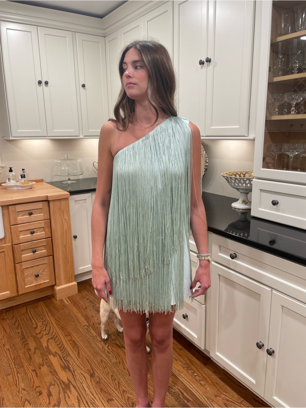 Anthropology, Hutch One-Shoulder Fringe Mini Dress in Mint